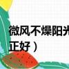 微風不燥陽光正好是什么意思（微風不燥陽光正好）