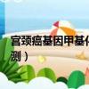 宮頸癌基因甲基化檢測單是什么意思（宮頸癌基因甲基化檢測）