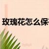 玫瑰花怎么保存的久一點（玫瑰花怎么保存）