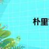 樸里節活動方案（樸里節）