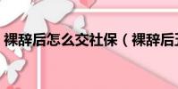 裸辭后怎么交社保(裸辭后五險一金怎么辦)