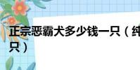 正宗惡霸犬多少錢一只(純種惡霸犬多少錢一只)