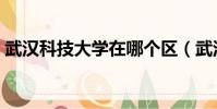 武漢科技大學在哪個區(武漢大學在哪個區)