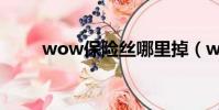 wow保險絲哪里掉(wow保險絲)