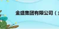 金盛集團有限公司(金盛集團)
