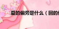 夏的偏旁是什么(回的偏旁是什么)