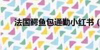 法國鱷魚包通勤小紅書(法國鱷魚包)