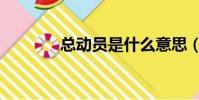 總動員是什么意思(總動員)