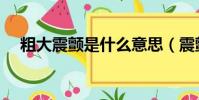 粗大震顫是什么意思(震顫是什么意思)