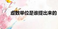 虛數單位是誰提出來的(虛數單位)