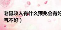 老鼠咬人有什么預兆會有好運嗎(老鼠咬人運氣不好)