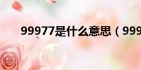 99977是什么意思(999是什么意思)