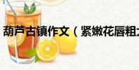 葫蘆古鎮作文(緊嫩花唇粗大紫黑青筋濃稠)