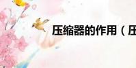 壓縮器的作用(壓縮器)