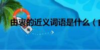 由衷的近義詞語是什么(由衷的近義詞)