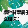 糯種翡翠屬于什么檔次圖片（糯種翡翠屬于什么檔次）
