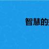 智慧的拼音組詞（智慧的拼音）