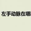 左手動脈在哪越詳細越好（左手動脈在哪里）