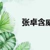 張卓含威中國好聲音（張卓含威）