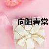 向陽春常在作文范文（向陽春常在）