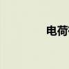 電荷有電嗎（電荷存在嗎）