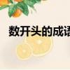 數開頭的成語有哪些成語（數開頭的成語）