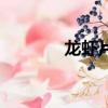 龍蝦片是什么做的（龍蝦片）