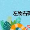 左物右碼是什么意思（左物右碼）
