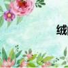絨的拼音（晨的拼音）