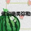 佛印絕類彌勒的絕什么意思（佛印絕類彌勒）