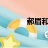 郝眉和ko差幾歲（郝眉和ko）
