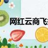 網紅云商飛揚天下最終結案（網紅云商）