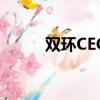 雙環CEO汽車空總成（雙環ceo）