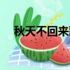 秋天不回來歌詞含義（秋天不回來歌詞）