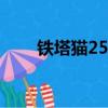 鐵塔貓25一包（鐵塔貓多少錢一包）