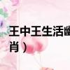 王中王生活幽默解一生肖（王中王生活幽默一肖）