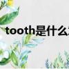 tooth是什么意思英文（tooth是什么意思）