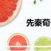 先秦荀子勸學篇（荀子勸學篇）
