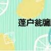 蓬戶甕牖雕梁畫柱類比（蓬戶甕牖）