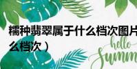 糯種翡翠屬于什么檔次圖片(糯種翡翠屬于什么檔次)