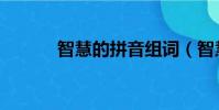 智慧的拼音組詞(智慧的拼音)