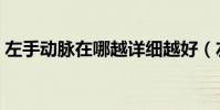 左手動脈在哪越詳細越好(左手動脈在哪里)
