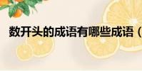 數開頭的成語有哪些成語(數開頭的成語)