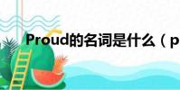 Proud的名詞是什么(proud的名詞)
