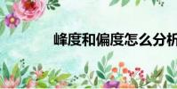 峰度和偏度怎么分析(峰度)