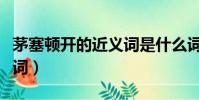 茅塞頓開的近義詞是什么詞(茅塞頓開的近義詞)