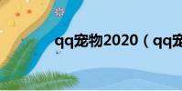 qq寵物2020(qq寵物天使)
