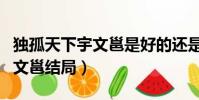 獨孤天下宇文邕是好的還是壞的(獨孤天下宇文邕結局)
