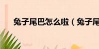 兔子尾巴怎么啦(兔子尾巴cd壓縮器)