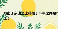 月出于東山之上徘徊于斗牛之間是什么意思(月出于東山之上)